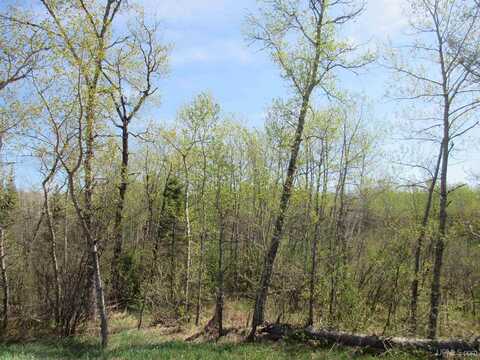 TBD US 141, Amasa, MI 49903