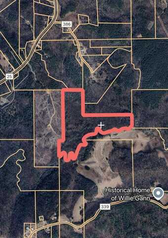 COUNTY ROAD 25, Lynn, AL 35575