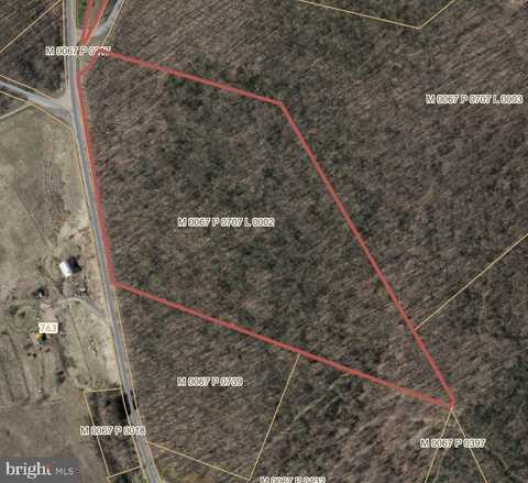 BITTINGER ROAD, SWANTON, MD 21561