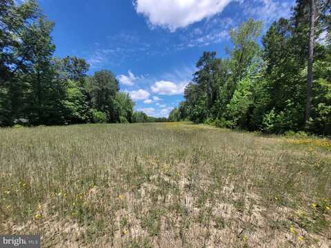 0 PINCKARDSVILLE RD, LANCASTER, VA 22503