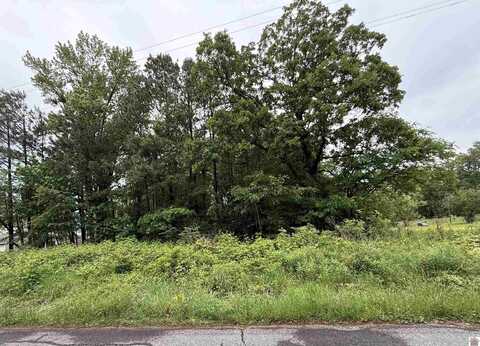 694 Green Plain Rd, Hazel, KY 42049