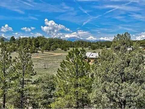 7080 Copper Gulch Rd, Cotopaxi, CO 81223
