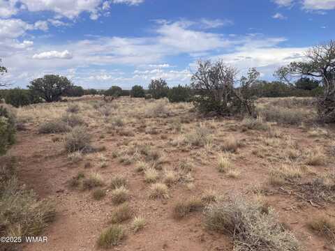 4253 Clydesdale Road, Snowflake, AZ 85937