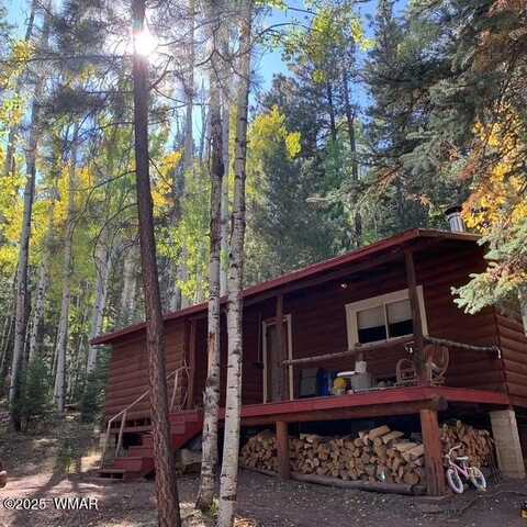 8 County Road 1006, Greer, AZ 85927
