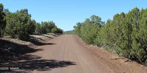 56 & 58 Co Rd 3193, Vernon, AZ 85940