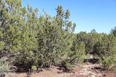 56 & 58 Co Rd 3193, Vernon, AZ 85940