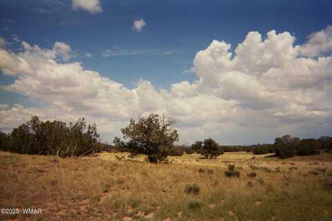 0 N6702, Saint Johns, AZ 85936