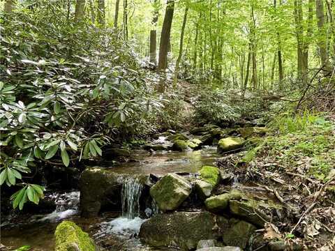 Lot 1c Cottonwood Rd, Bullskin Twp, PA 15610