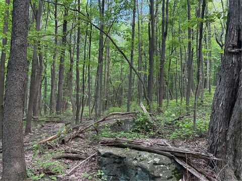 Lot 1b Horseshoe Bend Rd, Bullskin Twp, PA 15610