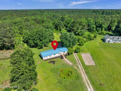 135 Robert E Lee Drive, Willard, NC 28478