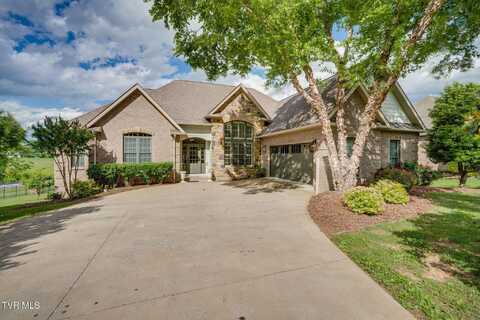 1001 Willows Trace Drive, Johnson City, TN 37601