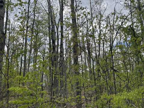990-994 Arawak Pass, Gaylord, MI 49735