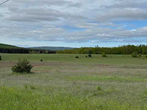 Nichols Road, Pellston, MI 49769