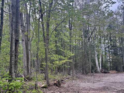 Lot 14 Brownwood Road, Gaylord, MI 49735