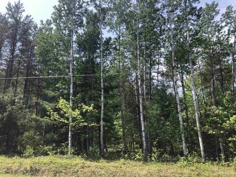 192 W Johnson Lake, Gwinn, MI 49841