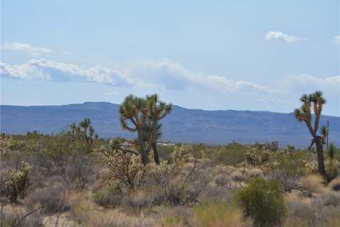 11189 S Alvis Road, Yucca, AZ 86438