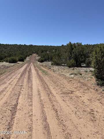 Nw 9334 Texas Lane, Show Low, AZ 85901