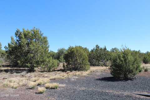 28 County Road N3099, Vernon, AZ 85940