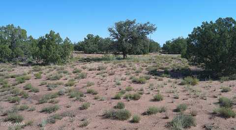 4434 Indian Bend Road, Snowflake, AZ 85937