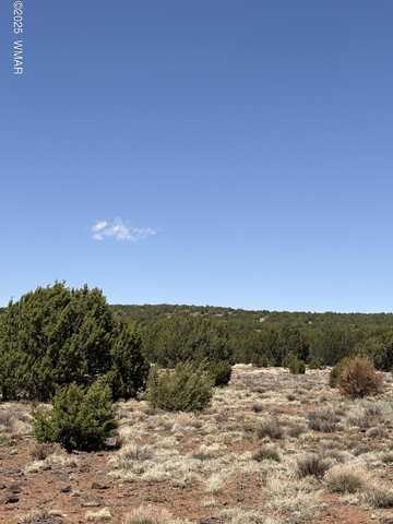 Sw 9334 Texas Lane, Show Low, AZ 85901