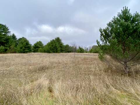 4.94 Acres Tag Alder Trail, Gaylord, MI 49735