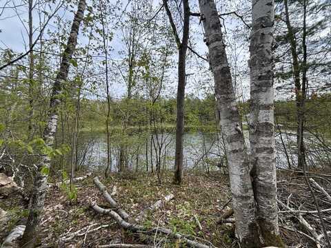 Lot 253 Iroquois Trail, Gaylord, MI 49735