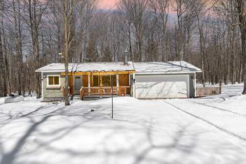 11050 Sprucedale Circle, Elmira, MI 49730