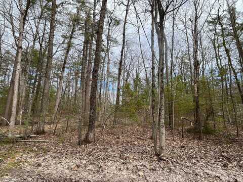 Chippewa Beach Road, Indian River, MI 49749