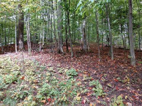Hlywa Drive, Gaylord, MI 49735