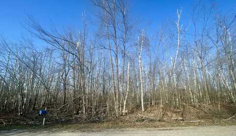 1868 Mockingbird Lane, Gaylord, MI 49735