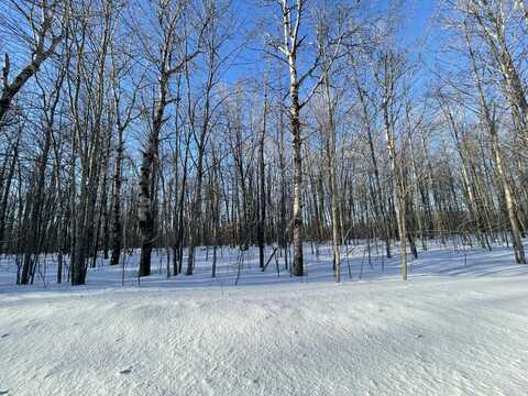 Lot 46 Louise Drive, Elmira, MI 49730