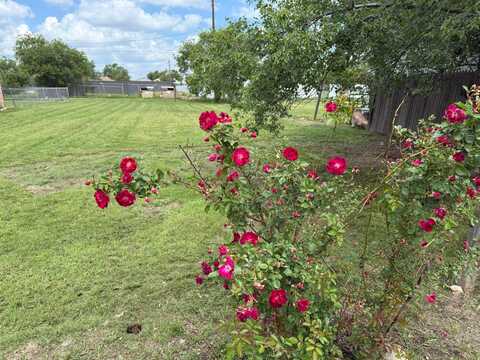 2919 BROOK Avenue, Amarillo, TX 79107
