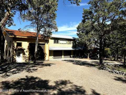481 Co Rd 112, Carbondale, CO 81623