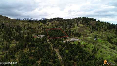 T11n Potter Heights Drive, Anchorage, AK 99516