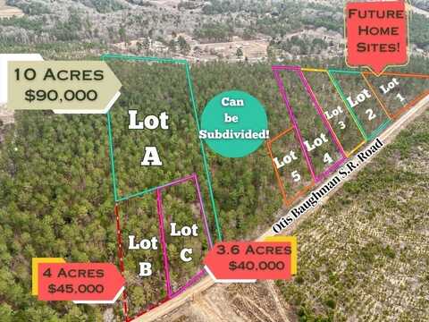 002 Otis Baughman S.R Road, Wagener, SC 29164