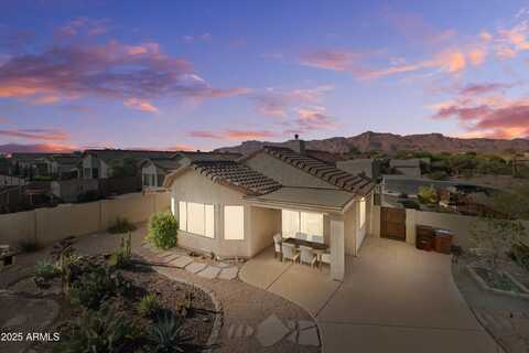 10607 E HILLSIDE MINE Court, Gold Canyon, AZ 85118