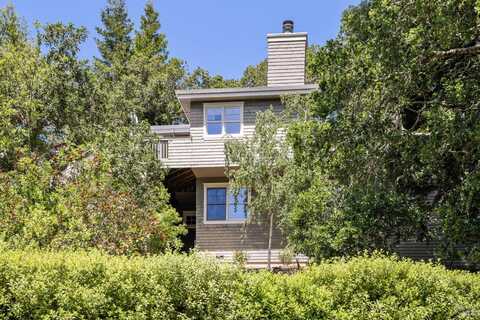 137 Del Casa Avenue, Mill Valley, CA 94941