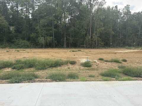 7860 Pixie Lane, Lumberton, TX 77657
