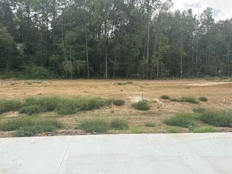 7880 Pixie Lane, Lumberton, TX 77657