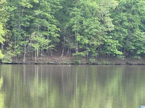 Lot 1 HICKS BEND COURT, WEDOWEE, AL 36278