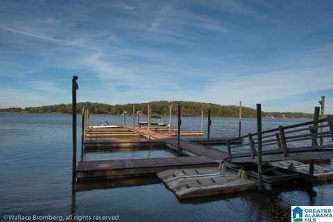 134 HARBOR POINTE DRIVE, TALLADEGA, AL 35160