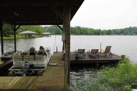 774 LAKESHORE LANE, ONEONTA, AL 35121