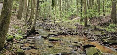 0 Oak Leaf Lane, Dunlap, TN 37327
