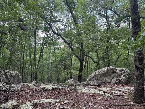 27.2 Ac BARNES MILL ROAD, HAMILTON, GA 31811