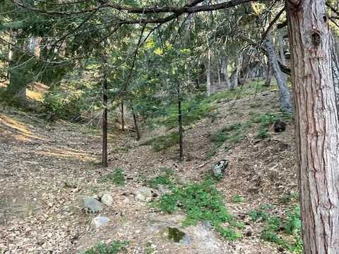356 Snowberry Court, Murphys, CA 95247