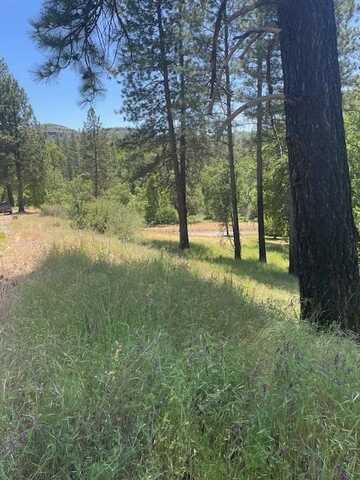 Morningstar Court, Mountain Ranch, CA 95246