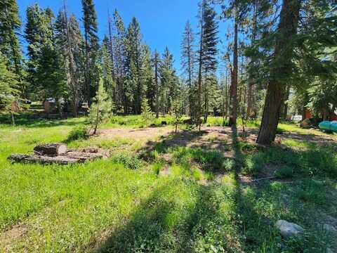 1462 Alpine Vista, Tamarack, CA 95223