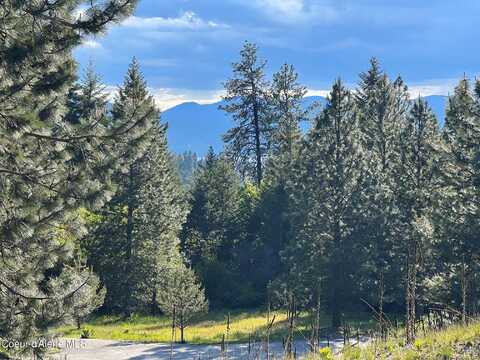6557 S BUCKRAIL RD, Harrison, ID 83833