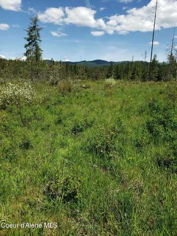 313 Sunset Drive, Fernwood, ID 83830