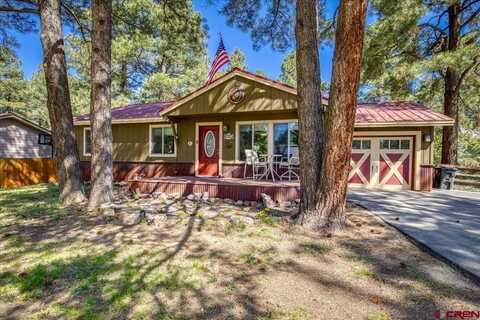 43 W Radiant Court, Pagosa Springs, CO 81147